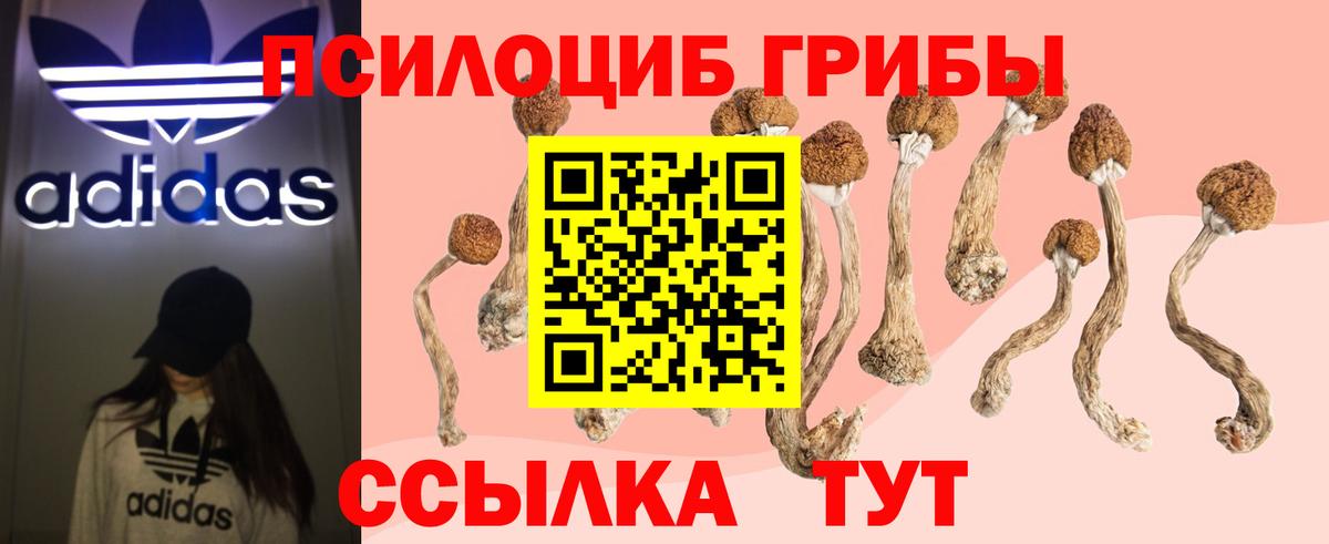 Псилоцибиновые грибы ЛСД  Псилоцибиновые грибы ЛСД  Реж  Вход с VPN 